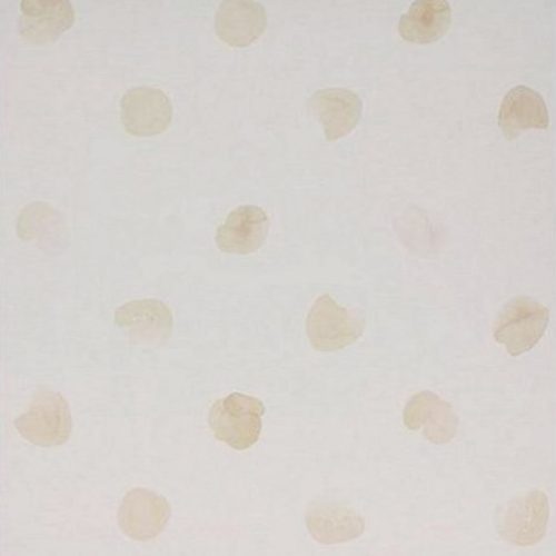 PUNTOS  4800066